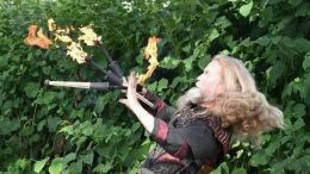 les-elucubrations-de-mister-f-r (2)